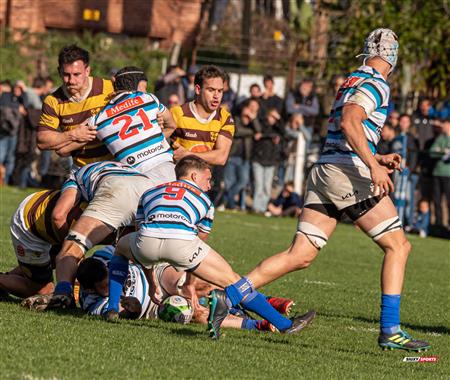 URBA 2024 - Top 12 Superior - San Isidro Club (34)  vs (31) Belgrano Athletic Club