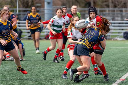 RQ 2024 - Match Pré-Saison - Rugby Club Montréal (10) vs (41) Town of Mount Royal - F