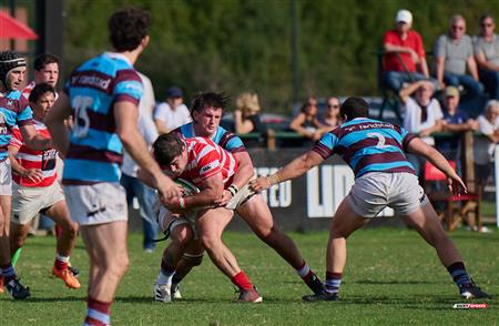URBA 2024 - TOP 12 SUPERIOR - ALUMNI (37) VS (8) Atlético del Rosario