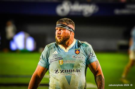 TOP 14 - Perpignan (27) vs (17) RC Toulonnais