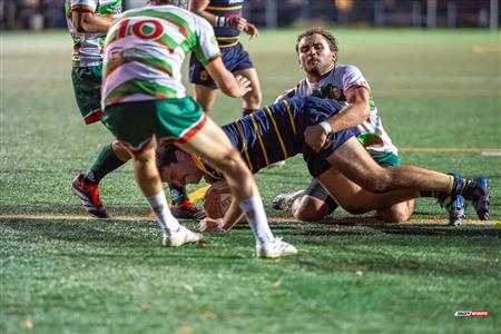 RQ 2024 - Super Ligue M1 - TMR (41) vs (0) RCM