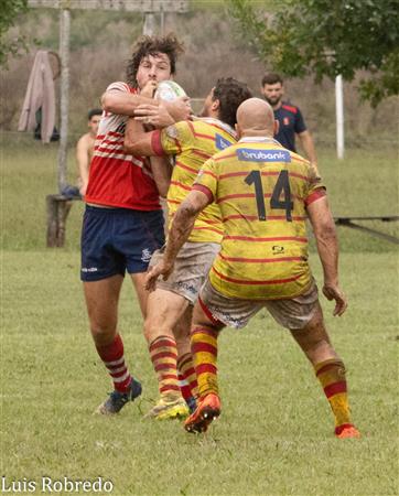 URBA 2024 - 1ra C - Areco RC (19) vs (7) Mercedes RC