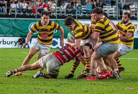 URBA 2024 - Top 12 - Final - Belgrano Athletic (17) vs (20) Asociacion Alumni