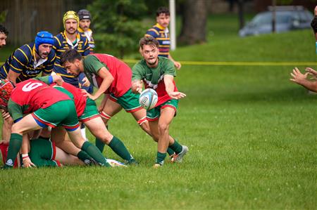 RQ 2024 - Finales - SLM2 - RCM vs TMR