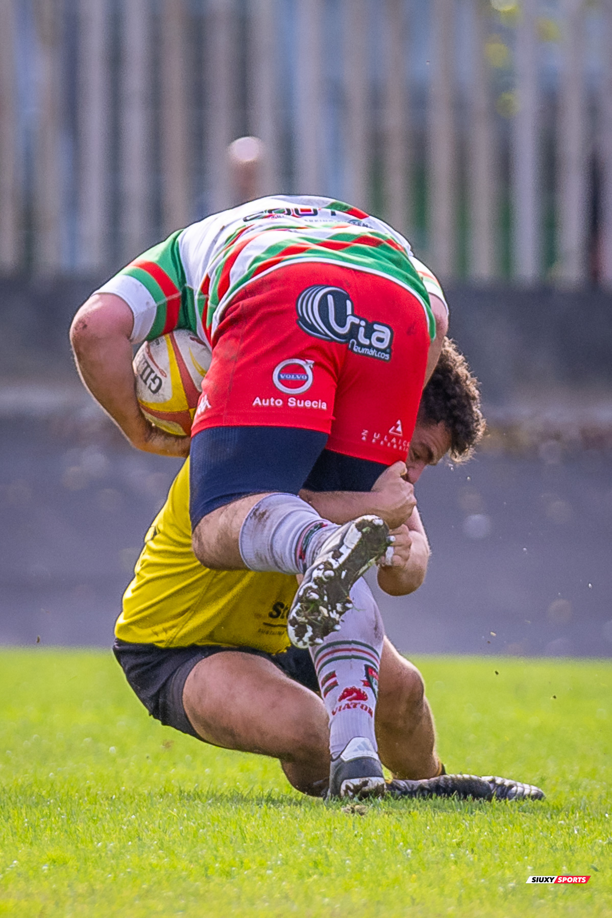  Getxo Artea Rugby Taldea - Hernani Club Rugby Elkartea - Rugby - FER 2024 - Getxo Artea Rugby Taldea (41) vs (8) Hernani Club Rugby Elkartea  (#FER24GETHER10) Photo by: Fredy Monfoto | Siuxy Sports 2024-10-20