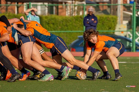 RSEQ 2024 - Démi Finale Rugby Masc Cegep - André Laurendeau (50) vs (20) Vanier