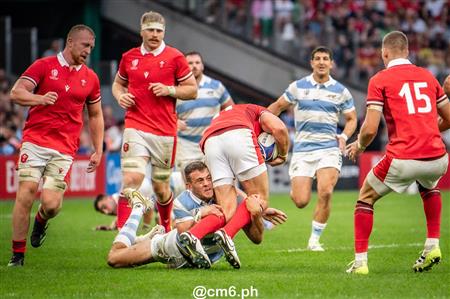 RWC 2023 - Argentina (29) vs (17) Wales