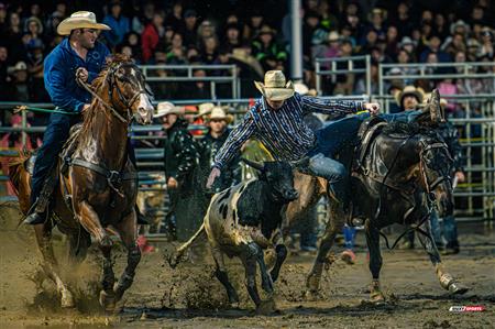 2024 - Rodéo Sainte Catherine de la Jacques Cartier, par Steve Plante