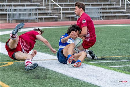 ECRC 2024 - Rugby Québec (38) vs (22) Rock Newfoundland -  Match