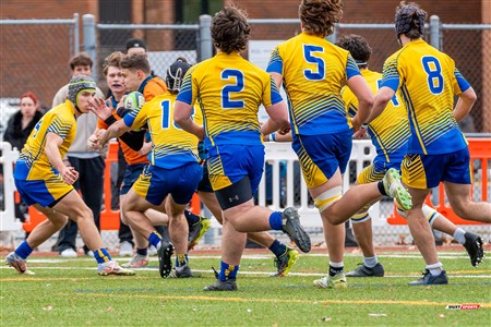RSEQ 2024 - Final Rugby Masc CEGEP - John Abbott (48) vs (18) André Laurendeau - Second Half