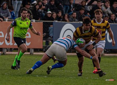 URBA 2024 - Top 12 Superior - San Isidro Club (34)  vs (31) Belgrano Athletic Club