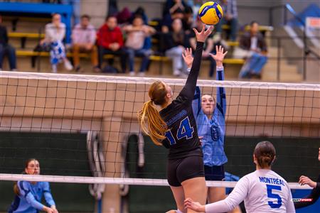 RSEQ - 2024 Volley F - U de Montréal (3) vs (0) UQAM