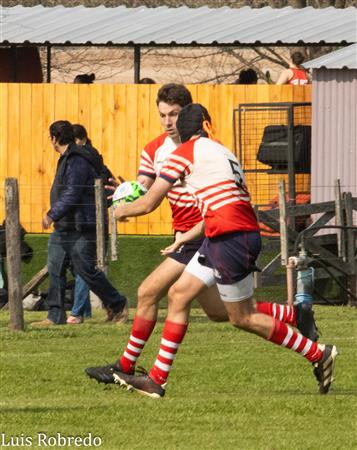URBA 2024 - 1C - Areco (14) vs (59) SITAS