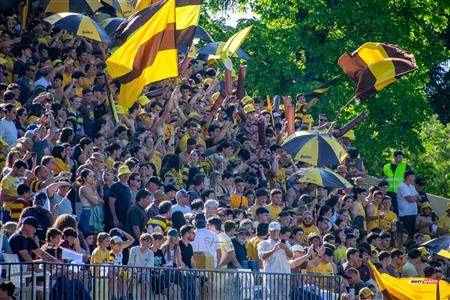 URBA 2024 - Top 12 Superior - Semi final - Newman (27) vs (28) BAC