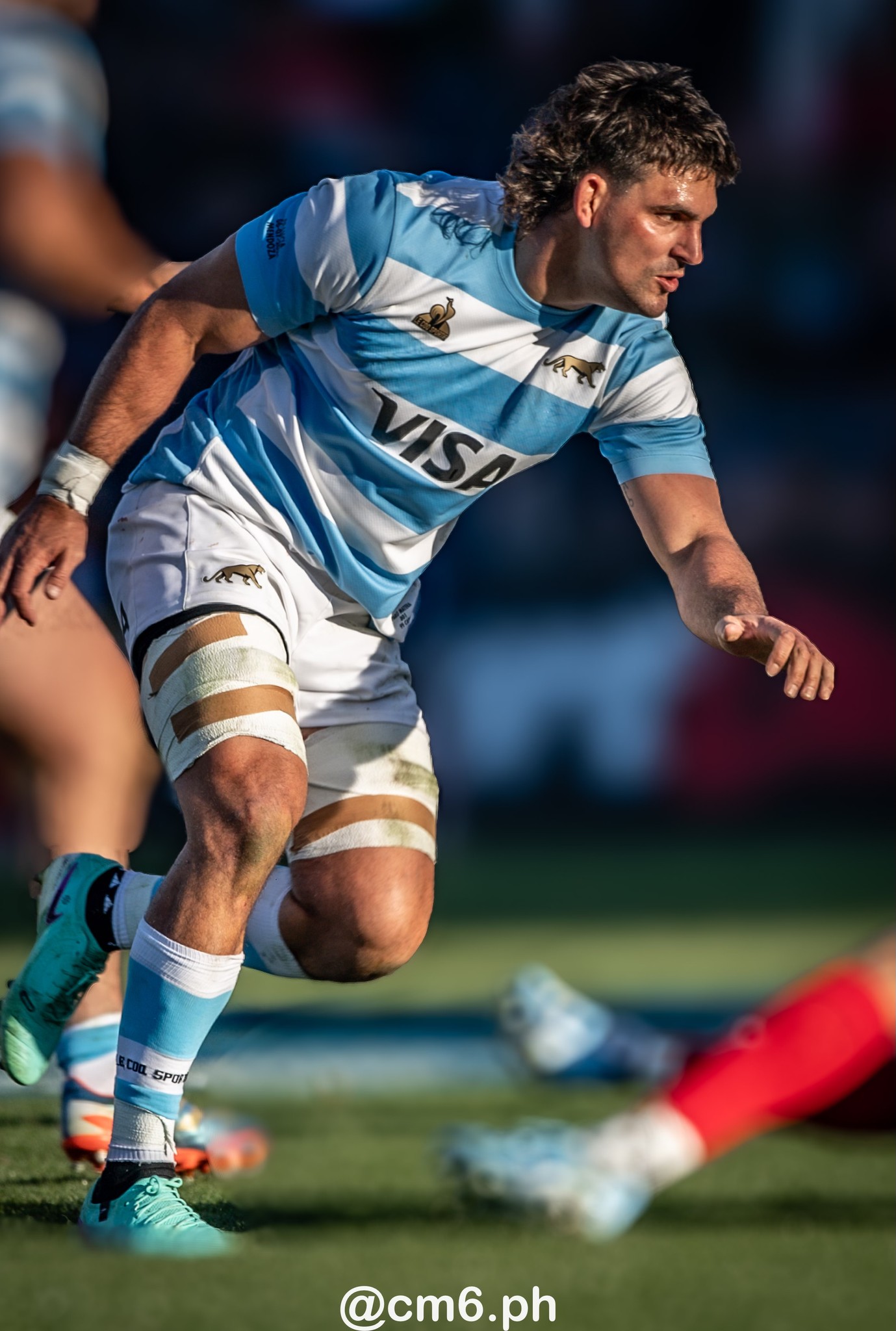 Pablo MATERA -  Selección Argentina de Rugby XV - Équipe de France de rugby à XV - Rugby - 2024 - Los Pumas - Argentina (13) vs (28) Francia (#2024PUMFRA07) Photo by: Christian Mas | Siuxy Sports 2024-07-06