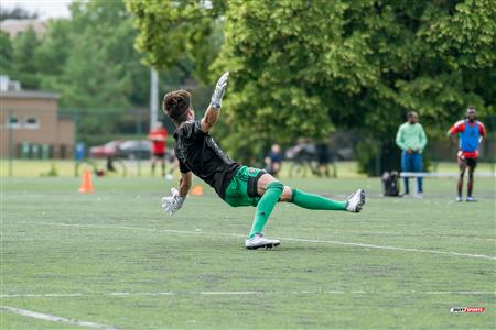 PLSQ - CS Mont-Royal Outremont (2) vs (4) AS de Beauport