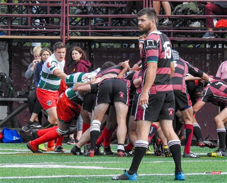 RQ 2017 - Finales LP2 Masc - RCM (21) vs (8) Westmount RC