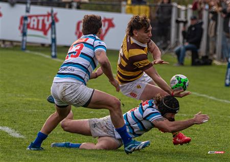URBA 2024 - Top 12 Superior - San Isidro Club (34)  vs (31) Belgrano Athletic Club