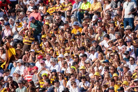 URBA 2024 - Top 12 - Final - Belgrano Athletic (17) vs (20) Asociacion Alumni