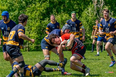 RQ 2024 - Super Ligue M Rés - Beaconsfield RFC (17) vs (17) Town of Mount Royal RFC