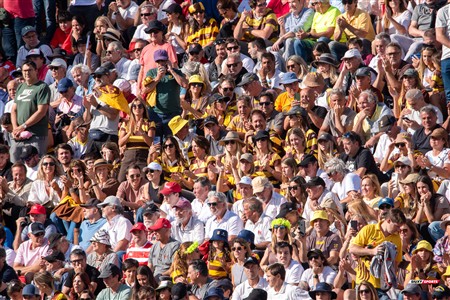 URBA 2024 - Top 12 - Final - Belgrano Athletic (17) vs (20) Asociacion Alumni