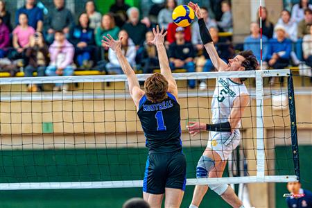 RSEQ - 2024 VOLLEY M - U DE MONTRÉAL (1) VS (3) U DE SHERBROOKE - Reel 2