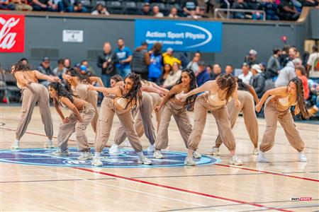 BSL - Montreal Toundra vs Frederick Flying Cows - Before game and half time show