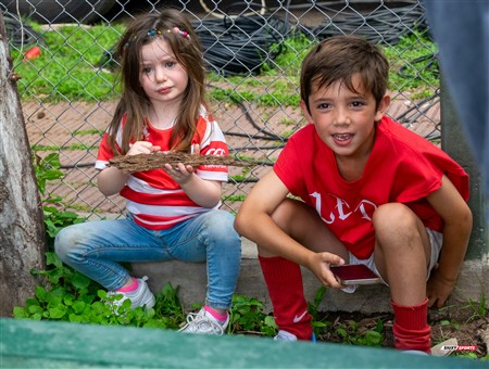 URBA 2024 - Top 12 - Final - Belgrano Athletic (17) vs (20) Asociacion Alumni