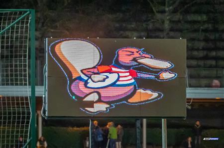 FER 2024 - SR FEM - Universidad Bilbao Rugby vs Durango