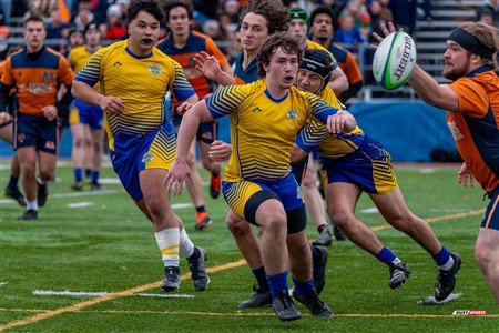 RSEQ 2024 - Final Rugby Masc CEGEP - John Abbott (48) vs (18) André Laurendeau - Second Half