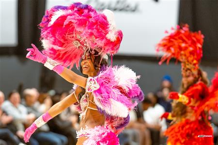 TBL - Montreal vs Sudbury - Before the Match and Half Time Show