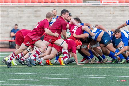 ECRC 2024 - Rugby Québec (38) vs (22) Rock Newfoundland -  Match
