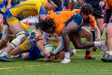 RSEQ 2024 - Final Rugby Masc CEGEP - John Abbott (48) vs (18) André Laurendeau - Second Half