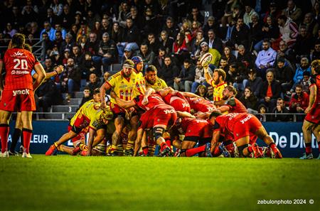 TOP 14 - Toulon (44) vs (22) Perpignan