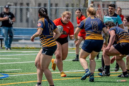 RQ 2024 - Super Ligue F - TMR (5) - (74) Club de Rugby de Québec