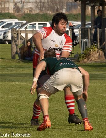 URBA 2024 - 1C - Areco (14) vs (59) SITAS