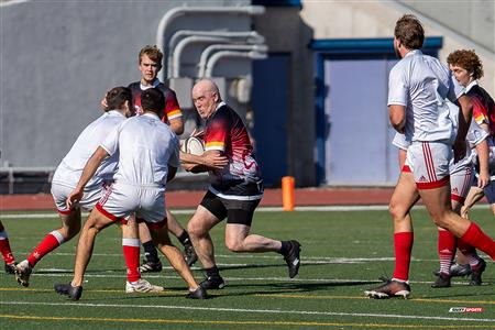 2024 McGill Alumni Rugby Reunion