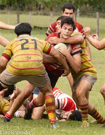 URBA 2024 - 1ra C - Areco RC (19) vs (7) Mercedes RC