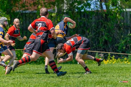 RQ 2024 - Super Ligue M Rés - Beaconsfield RFC (17) vs (17) Town of Mount Royal RFC
