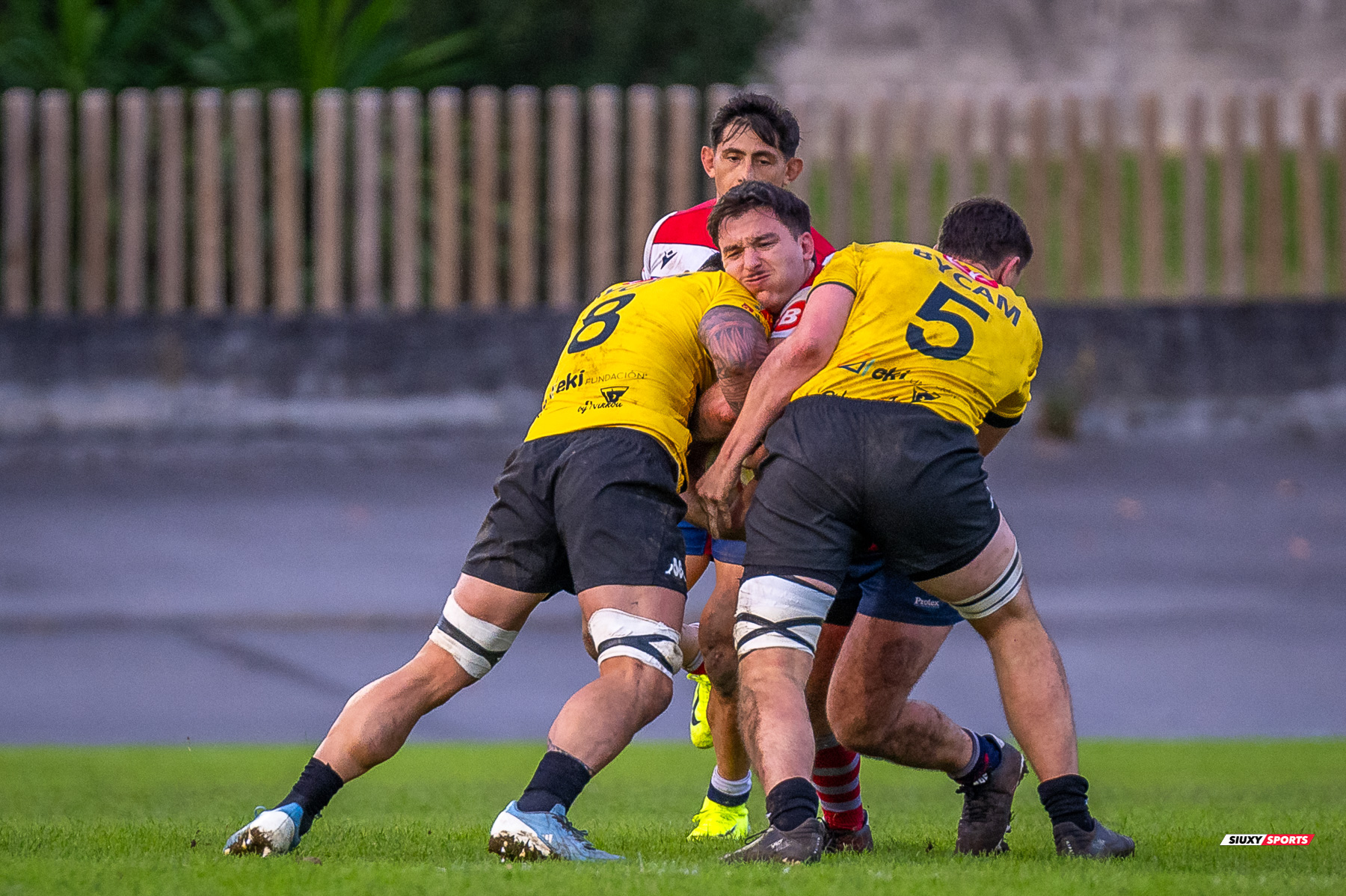  Getxo Artea Rugby Taldea - Universitario Bilbao Rugby - Rugby - FER 2024 - DHB - Getxo RT (35) vs (14) Universitario Bilbao Rugby (#FER24DHBGRTUBR11) Photo by: Fredy Monfoto | Siuxy Sports 2024-11-30