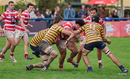 URBA 2024 - Top 12 Intermedia - Regatas BV (19) vs (26) Asociacion Alumni