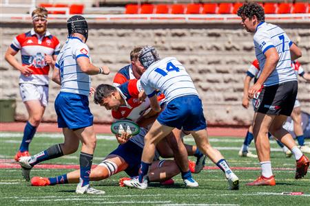 ECRC 2024 - Rugby Québec Dével. (31) vs (15) FreeJacks Independents - 5th place 