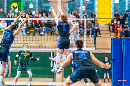 RSEQ - 2024 VOLLEY M - U DE MONTRÉAL (1) VS (3) U DE SHERBROOKE - Reel 2