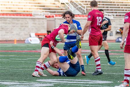 ECRC 2024 - Rugby Québec (38) vs (22) Rock Newfoundland -  Match