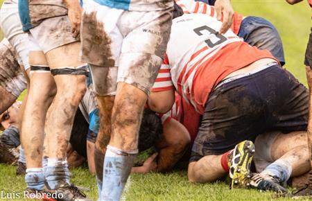 URBA 2024 - 1ra C - Areco RC (10) vs (45) Centro Naval