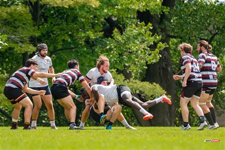 RQ 2024 - LPR1 M1 - WESTMOUNT RC (7) VS (22) SAINTE-ANNE-DE-BELLEVUE RFC