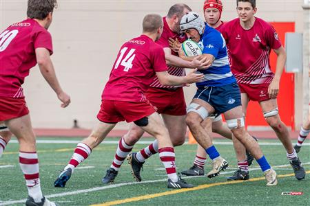 ECRC 2024 - Rugby Québec (38) vs (22) Rock Newfoundland -  Match