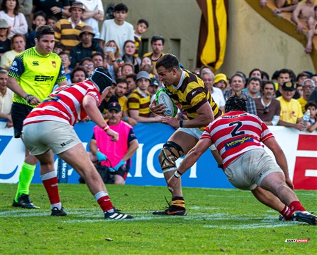 URBA 2024 - Top 12 - Final - Belgrano Athletic (17) vs (20) Asociacion Alumni