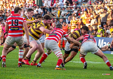 URBA 2024 - Top 12 - Final - Belgrano Athletic (17) vs (20) Asociacion Alumni