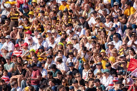 URBA 2024 - Top 12 - Final - Belgrano Athletic (17) vs (20) Asociacion Alumni